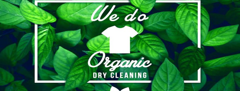 Joe’s Organic Dry Cleaners in Westbury offering eco-friendly garment care