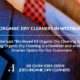 Joe’s Organic Dry Cleaners storefront and garment care services in Westbury NY