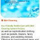 Wet Cleaning
