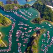 Why Seaweed Farming is Eco-Friendly