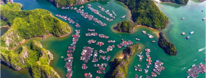 Why Seaweed Farming is Eco-Friendly