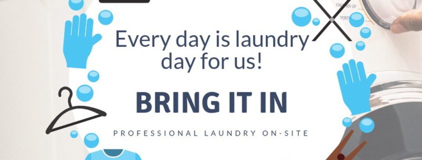 Organic Dry Cleaners in Westbury-every day is laundry