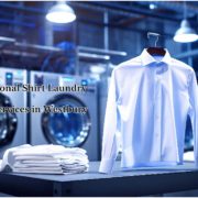 Professional Shirt Laundry Press Services in Westbury