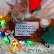 home closet cleanout Westbury clean and store winter clothes