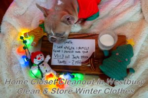 home closet cleanout Westbury clean and store winter clothes