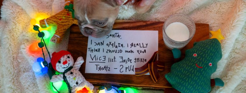 home closet cleanout Westbury clean and store winter clothes