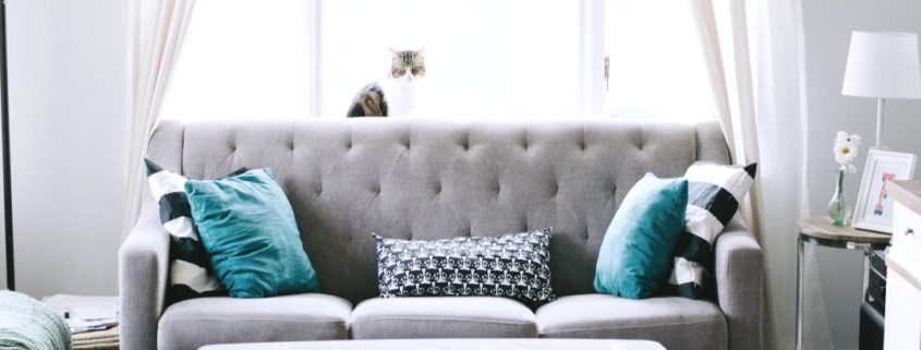 Professional curtain dry cleaning service at Joe’s Organic Dry Cleaners in Westbury NY